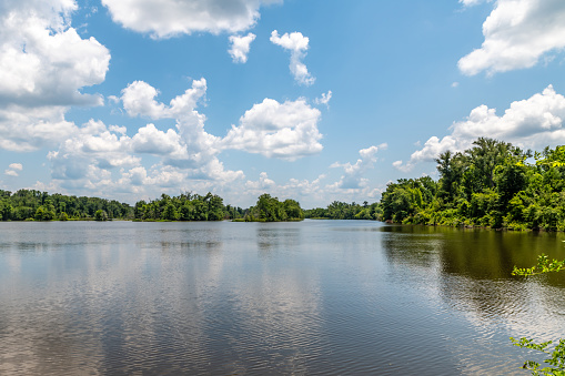 Pearl River off the Natchez Trace Parkway, Mississippi