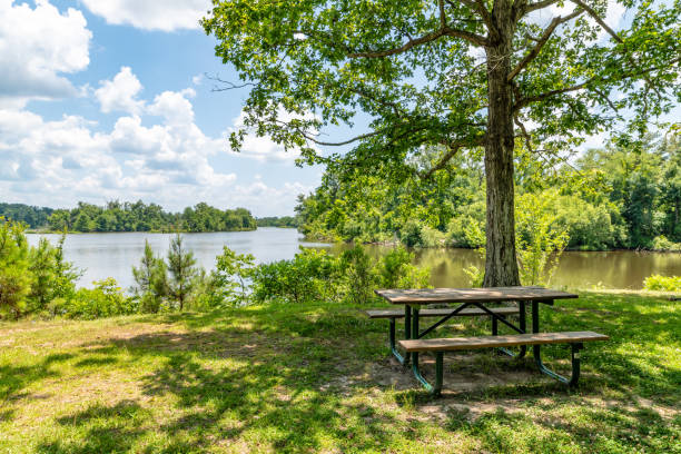istock Bench by Pearl River off the Natchez Trace Parkway 1499754337