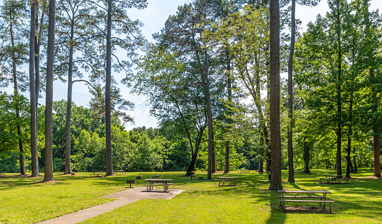Park for rest with lush greenery and benches for rest