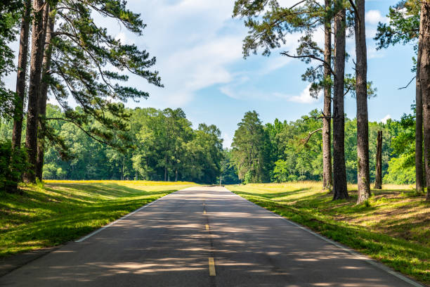 Natchez Trace Parkway through Mississippi