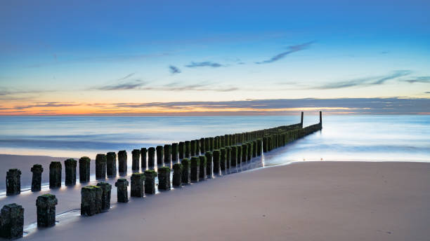 Pali di legno esposti alle intemperie sulla spiaggia olandese in inverno. Ora c'è bassa marea. - foto stock