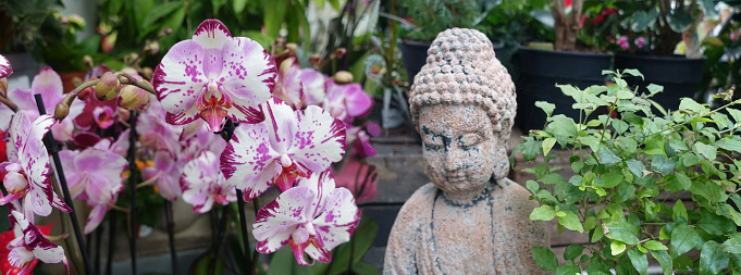 Buddha Sculpture in a garden decorated with orchids