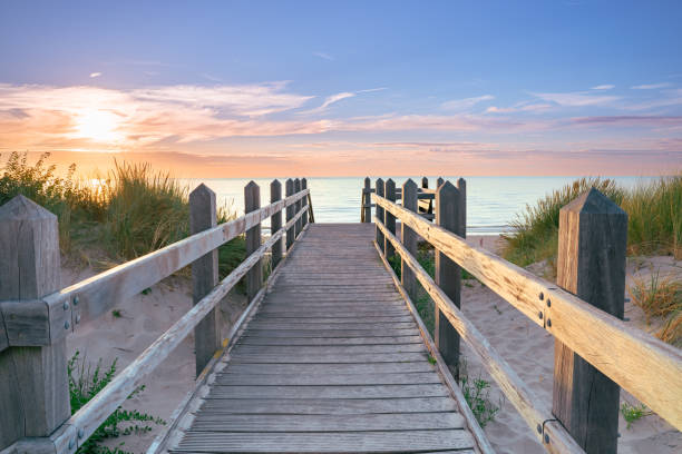 treppeneingang über hohe dünen mit blick auf die nordseeküste - beach boardwalk grass marram grass stock-fotos und bilder