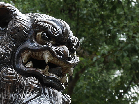 Shisa sits as a guardian deity of the house in Okinawa