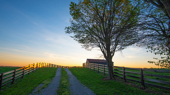 Fence Lined lane to a tabacco barn at sunrise- Richmond, Kentucky