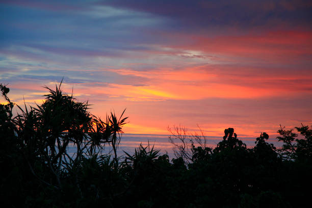 Okinawa Main Island is the evening view of the west coast