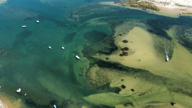 istock Drone shot over Cacela Velha beach, Algarve 1499760289