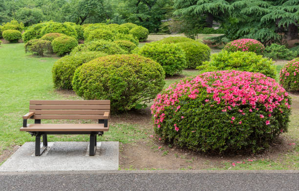 istock A empty seat in flower garden. Green outdoors background 1499760418
