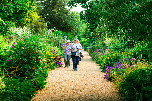 Crawley, UK - 15 June, 2023: senior people walking in the botanical garden, surrounded by blooming plants and flowers in summer.
