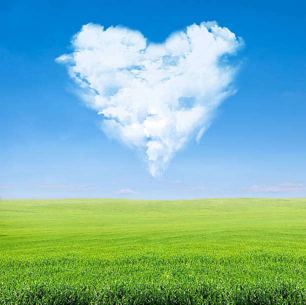 istock green field blue sky with cloudy heart 149976484