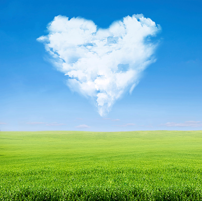 field of green grass over blue sky with clouds in shape of heart