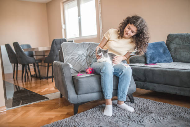 istock A young woman sits on a sofa and plays with a cat and its toy 1499768577
