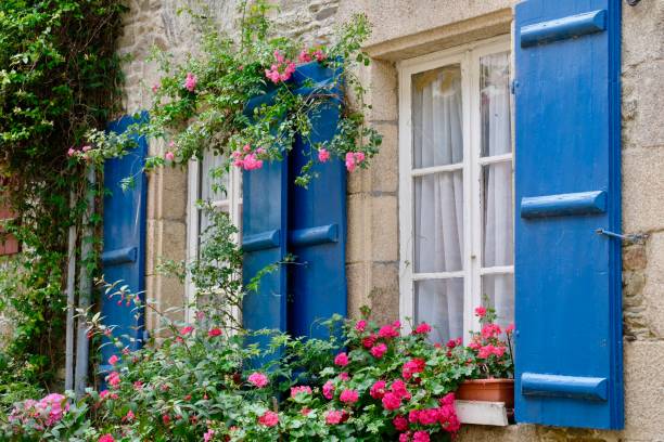 istock Windows with blue shutters entwined with pink roses and geraniums 1499768982