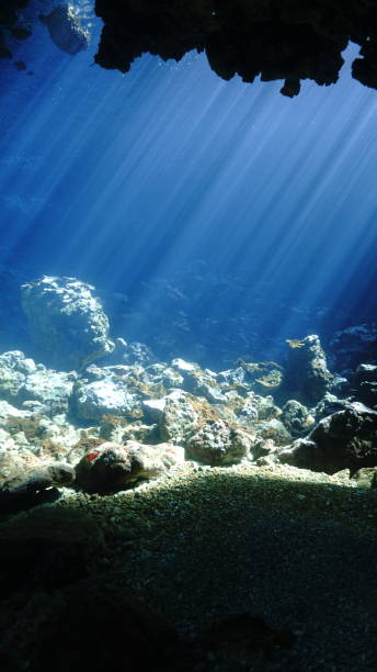 istock Rays of sunlight in a cave underwater 1499769190