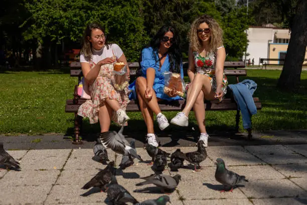 Photo of Feeding pigeons