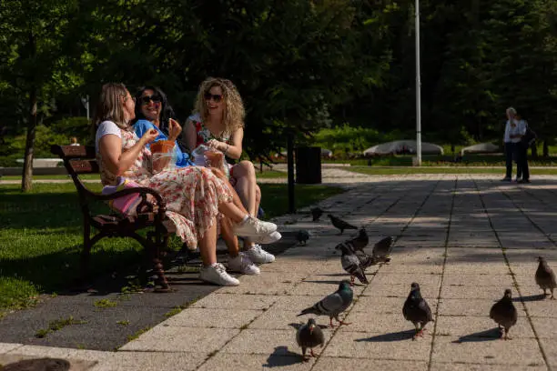 Photo of Happy girls are sitting on a park bench and talking.