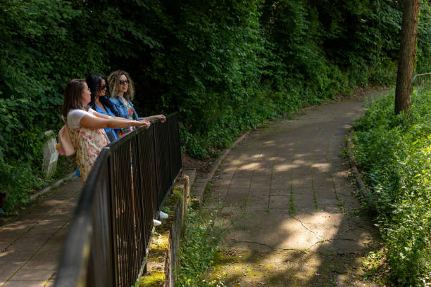 istock Leaning on the fence in the forest. 1499770851