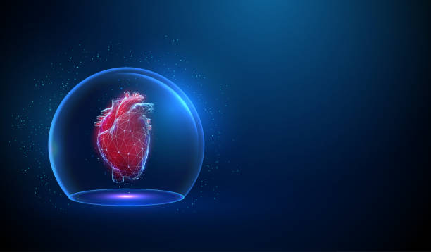 Abstract red human heart in transparent glass dome. Abstract red human heart in transparent glass dome. Heart protection. Healthcare medical concept. Low poly style design. Geometric background. Wireframe connection structure. Modern 3d graphic. Vector pericarditis stock illustrations