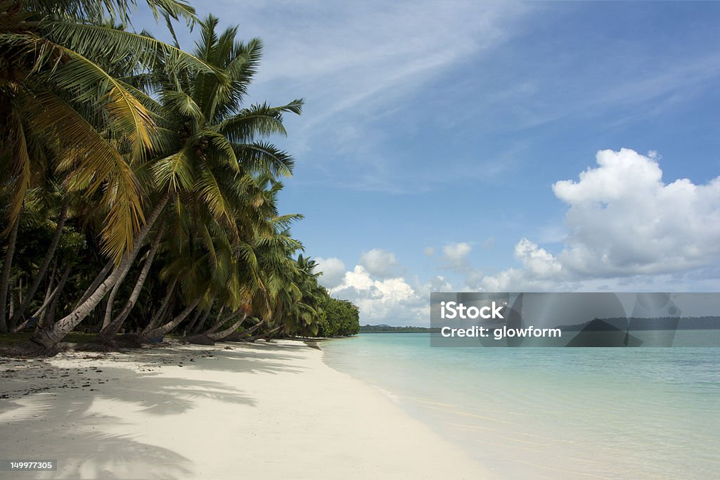 Tropical Beach Sunny tropical beach and crystal clear water. Havelock Island Stock Photo Tropical Beach Sunny tropical beach and crystal clear water. Havelock Island Stock Photo