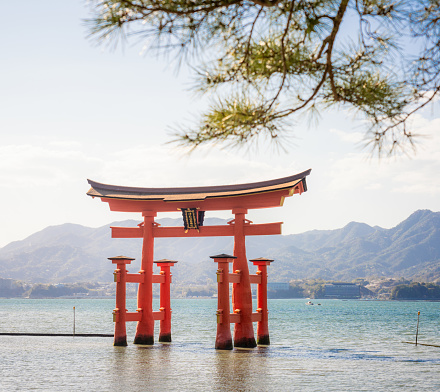 Itsukushima, Japan - Water surrounding the large torii gate located on the coast of Itsukushima island, known as the floating torii gate due to the water level around the torii changing with the tide.