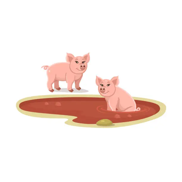 Vector illustration of Pigs in a puddle of mud. Cartoon pigs in a puddle of mud for kids. Farm animals.Vector illustration