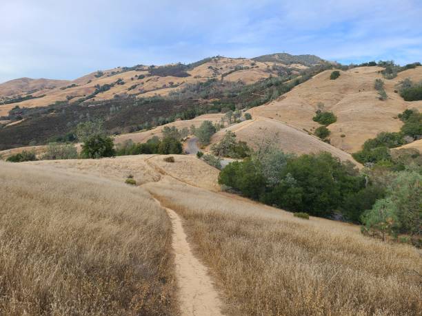 istock Mt Diablo Summit trail, Mt Diablo State Park, California 1499780675