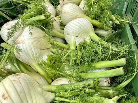 fennel in local market