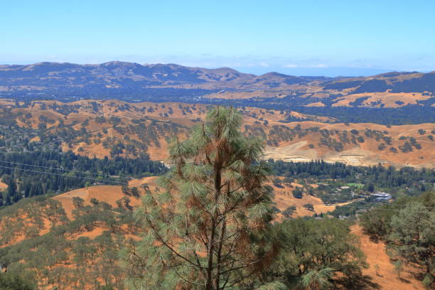 カリフォルニア州ディアブロ山のアーティストポイントからのサンラモンバレーの眺め - mt diablo state park ストックフォトと画像