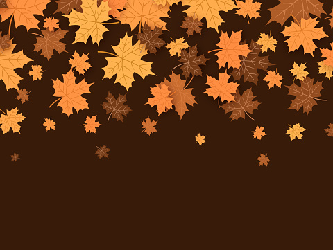 Autumn fall maple leaf falling abstract background.