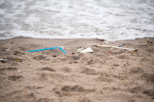 istock Full of trash on the beach 1499783897