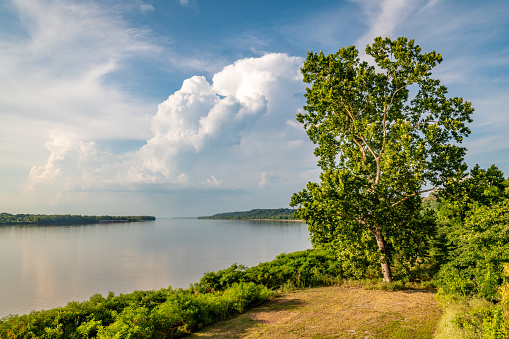 Landscape of Tihany peninsula at Lake Balaton, Hungary