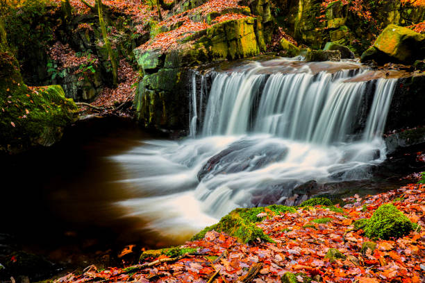 istock Tiger Clough Autumnal Leaves and Waterfall 1499784660