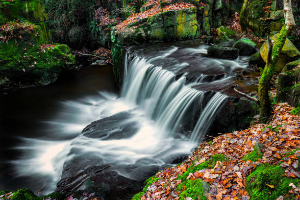 istock Tiger Clough Ravine Waterfall in Autumn 1499784669