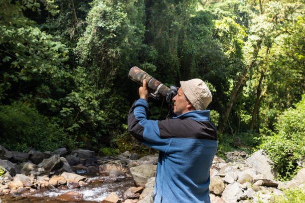 istock Nature photographer in the jungle 1499787229