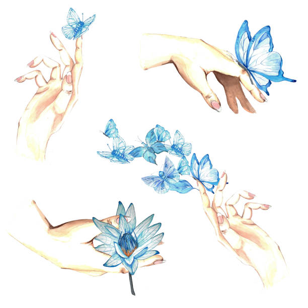 eine reihe von aquarellillustrationen. blaue schmetterlinge, lotusblüten, blätter, hände. für design und postkarten - white background beauty and health flower human hand stock-grafiken, -clipart, -cartoons und -symbole