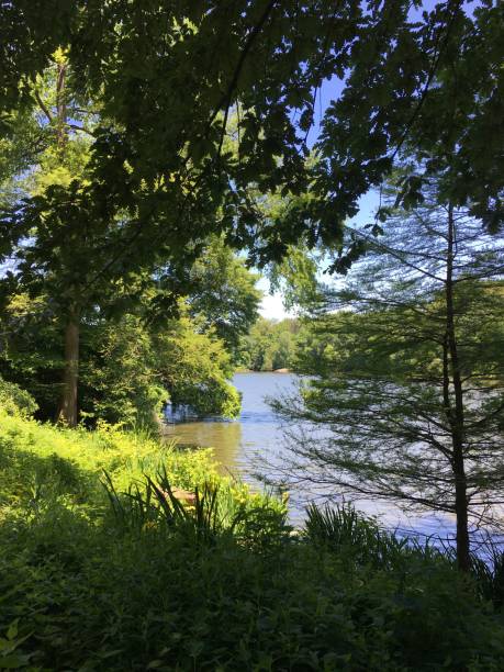 istock May at Central Park in Manhattan, New York, NY. 1499793180
