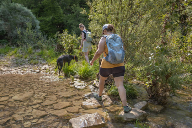 istock Crossing a small river in the moutains 1499795520