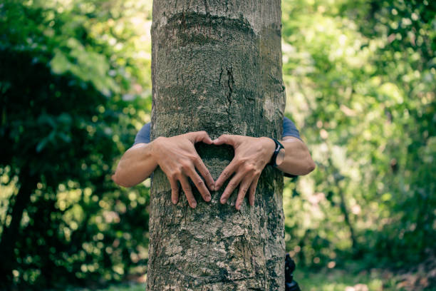 istock A young man stood hugging a big tree in the forest. Shows that he loves trees and is ready to take care of the trees in the forest to continue to grow to help reduce global warming. 1499795893