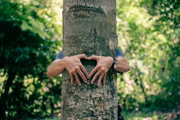 młody mężczyzna stał przytulony do wielkiego drzewa w lesie. pokazuje, że kocha drzewa i jest gotów dbać o drzewa w lesie, aby nadal rosły, aby pomóc zmniejszyć globalne ocieplenie. - environmental conservation recycling thinking global warming zdjęcia i obrazy z banku zdjęć
