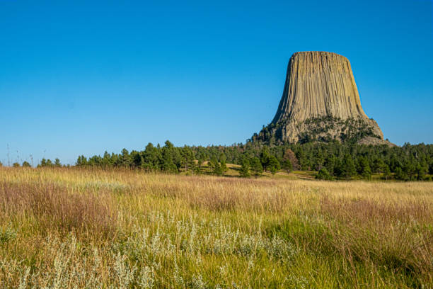 istock Devil's Tower, Wyoming, rises mysteriously out of a grassy field 1499798434