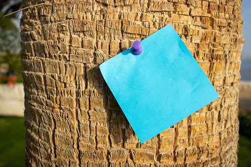 blue square paper note with mapping pin on a palm tree with empty free space for template or blank copy area