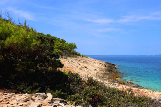 istock Wild Beach on Island Korcula 1499798746