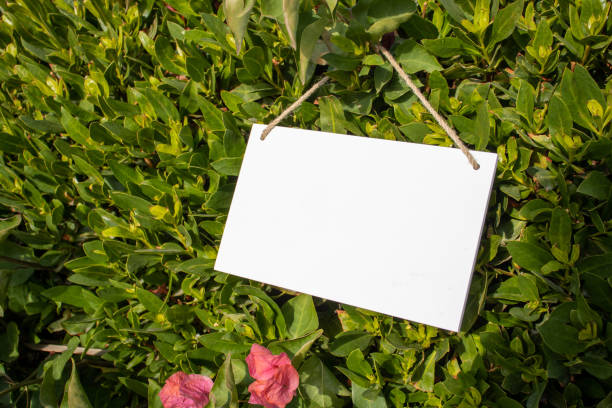 istock white hanging picture sign 1499799910