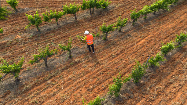 istock Man working as an agricultural engineer in the field. 1499802040