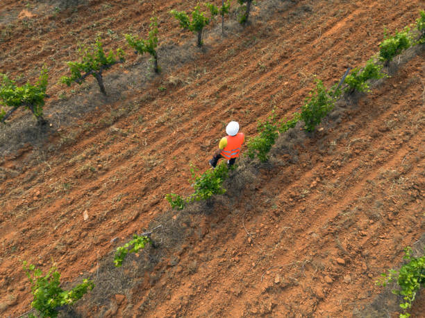 istock Man working as an agricultural engineer in the field. 1499802055