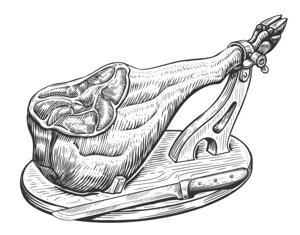 испанский хамон на деревянной подставке и ноже. сухая ветчина, эскиз мясной пищи. векторная иллюстрация, винтажная гравюра - ham kitchen knife meat iberian stock illustrations