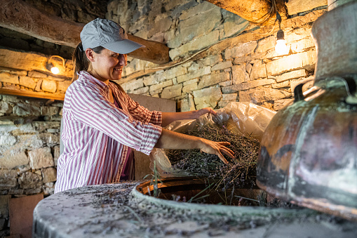 Farmer in distillery preparing the raw material for the oil extraction process.