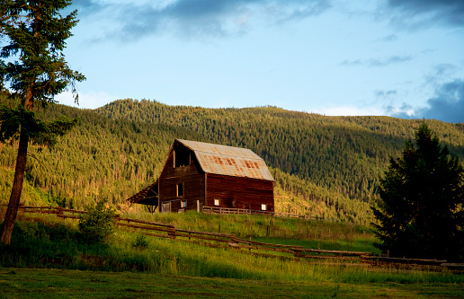 Old wooden barn nestled into side of hill near Armstrong, British Columbia. Surrounded by trees and hay field, with evening sky above.