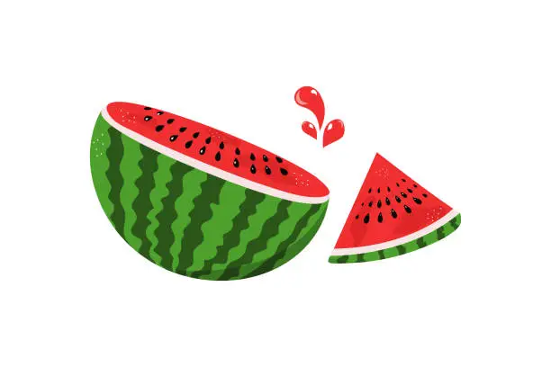 Vector illustration of Watermelon slice .