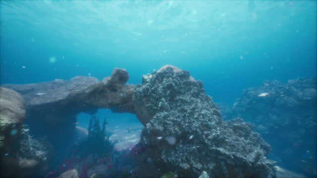 Underwater Scene of Tropical Seabed With Reef And Sunshine
